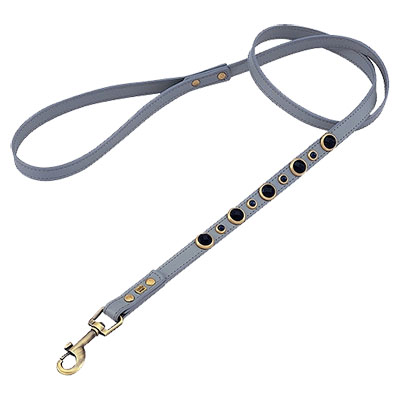 Imperial Faceted Blue Sand Stone & Sodalite Dog Leash-orig